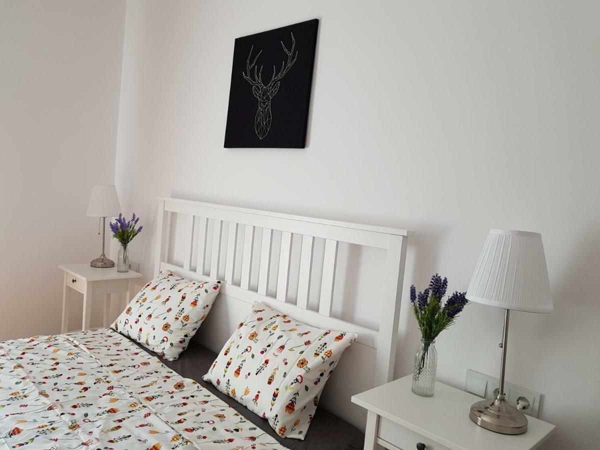 Oberiter Apartments - Center Of Zagreb, Fast Wifi, Ac, Kitchen, Parking Exteriér fotografie